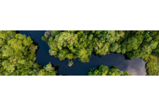 Photo of Ashley River Access Photo of Ashley River Access