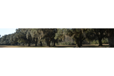 Photo of Laurel Hill County Park Photo of Laurel Hill County Park