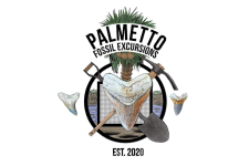 Photo of Palmetto Fossil Excursions Photo of Palmetto Fossil Excursions