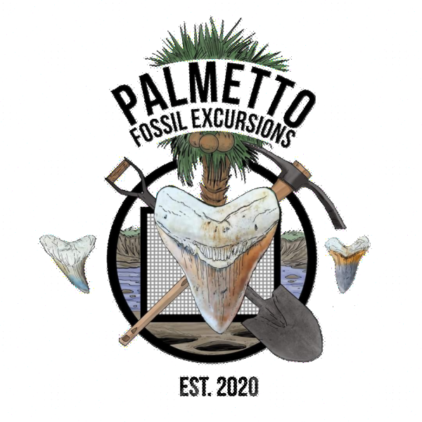 Photo of Palmetto Fossil Excursions Photo of Palmetto Fossil Excursions