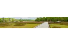 Photo of Palmetto Islands County Park Photo of Palmetto Islands County Park