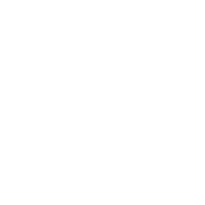 Town of Summerville