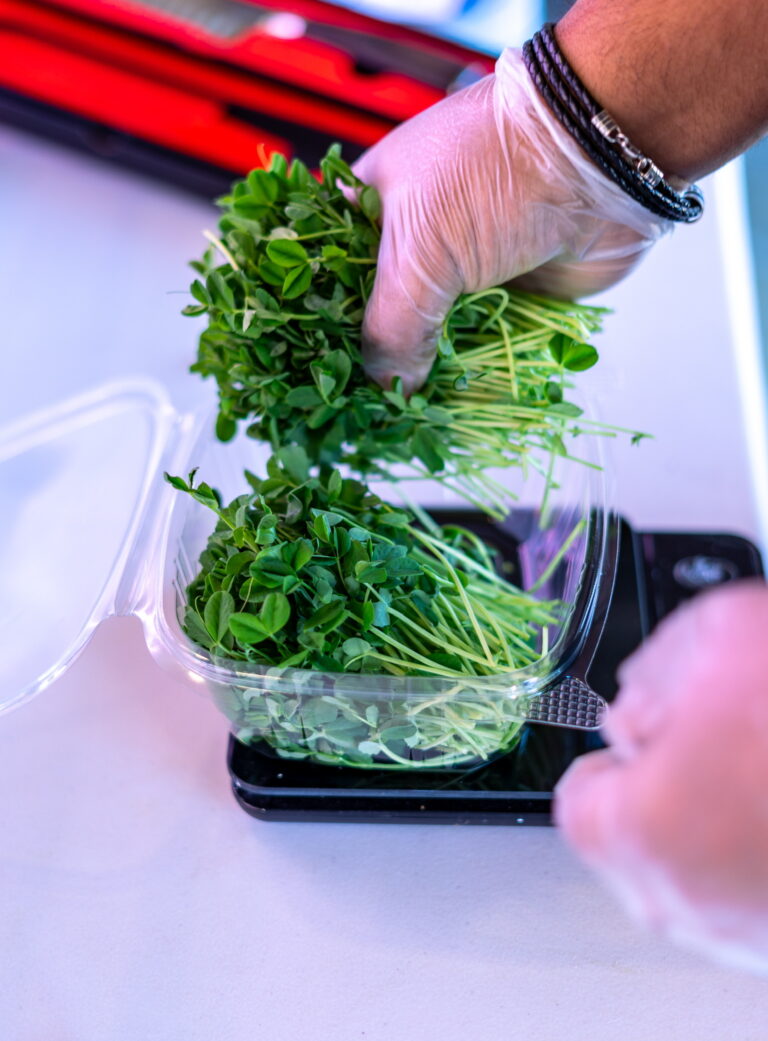 Young’s Microgreens