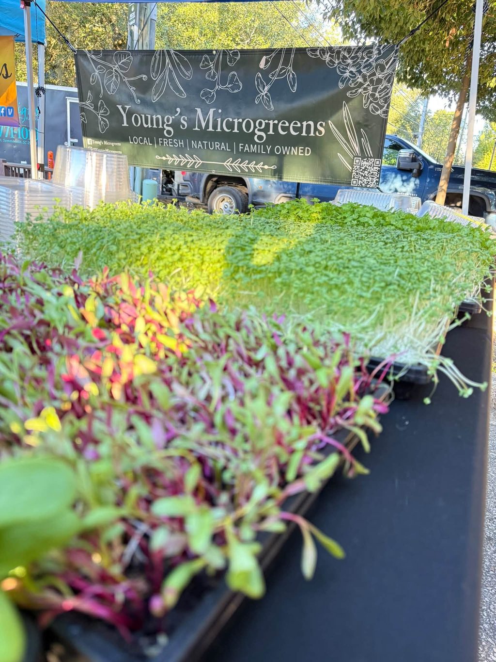 product shot - Youngs